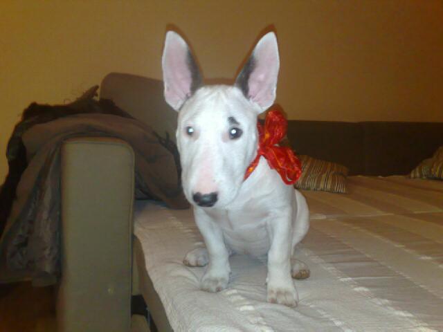13112008613.jpg