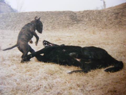 kámoš 004.jpg