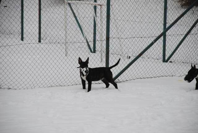 DSC_00120001.jpg