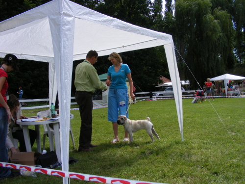 Výstava -Žebětín 024.jpg