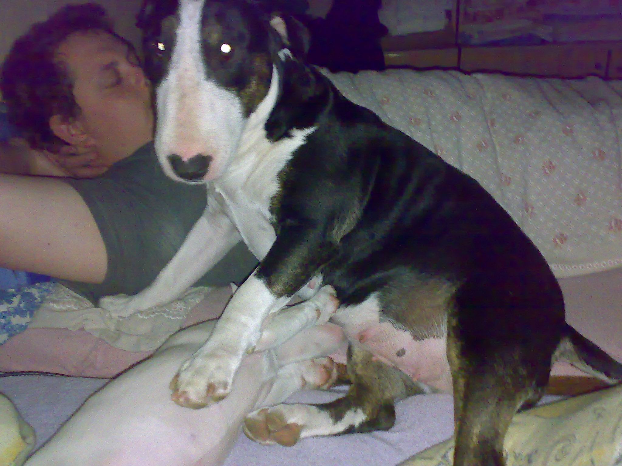 091120091703.jpg