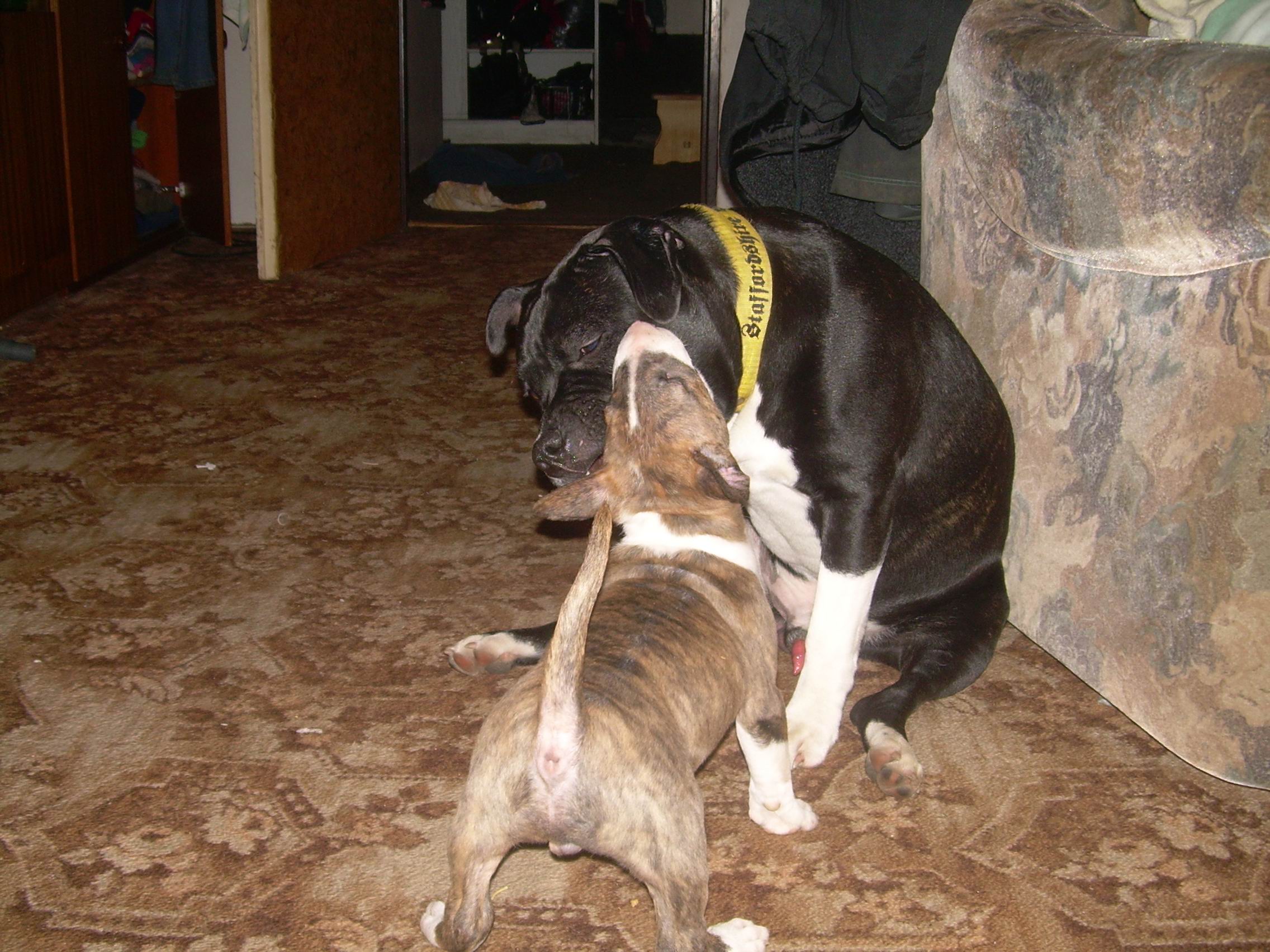 DSCN0999.jpg
