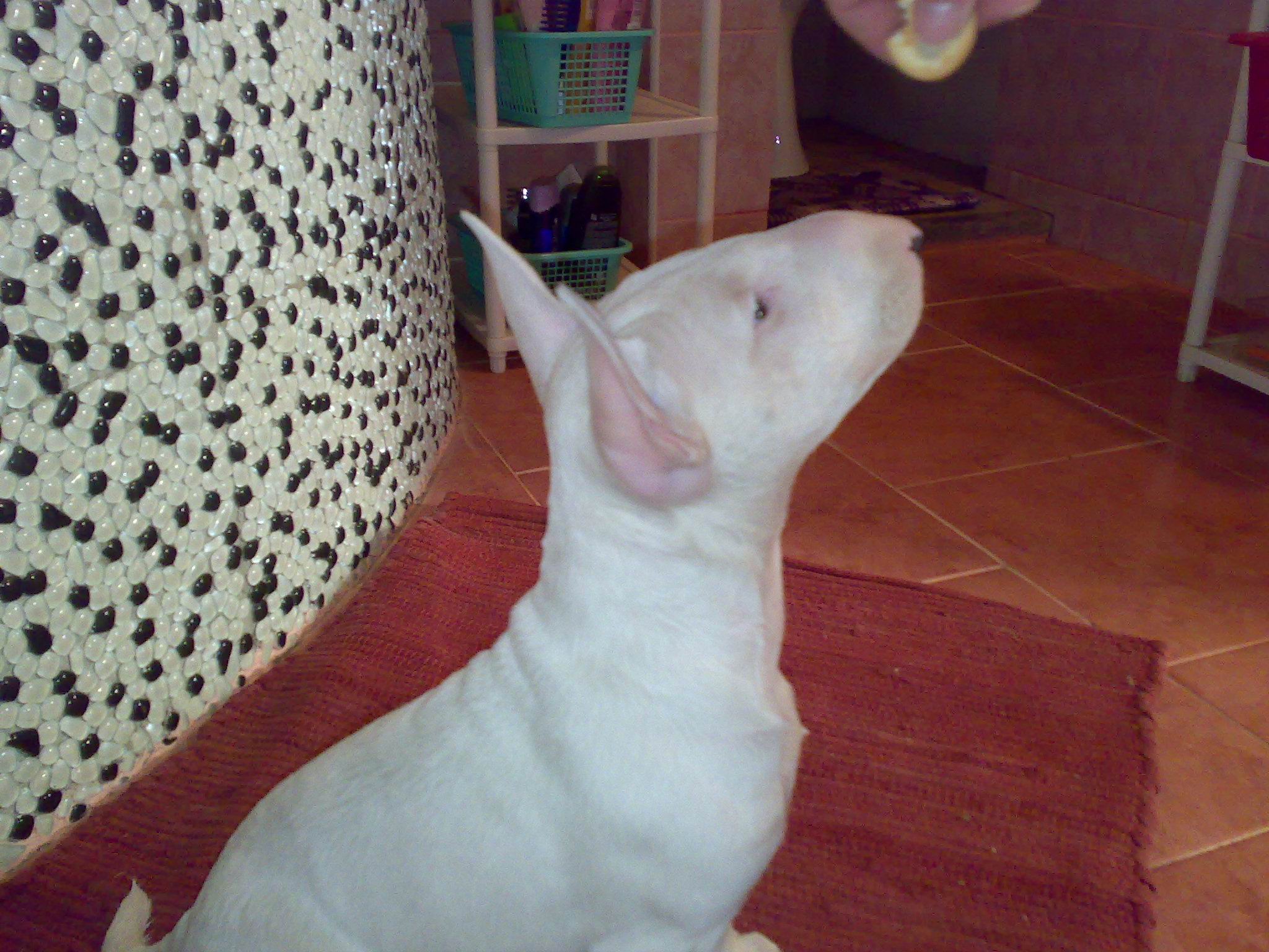 261120091806.jpg