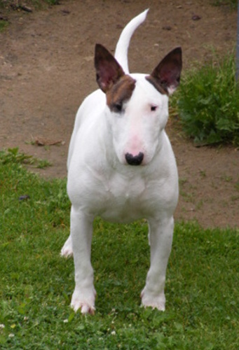 sono 18.8.2009 001.jpg