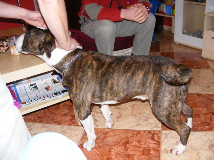 Caspian - Marat 29.12.2010 001.jpg