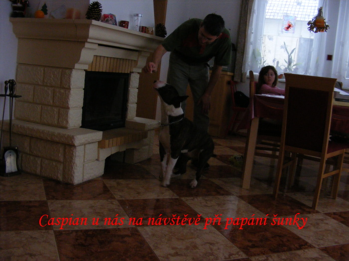 Caspian - Marat 29.12.2010 003.jpg