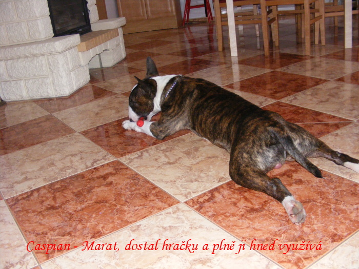 Caspian - Marat 29.12.2010 009.jpg
