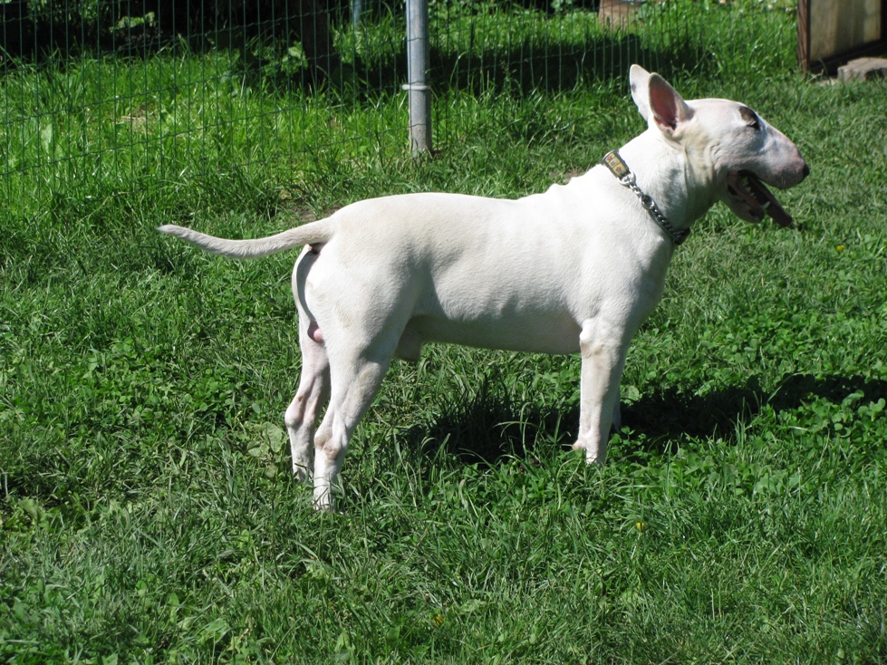 5.6.2010 039.jpg
