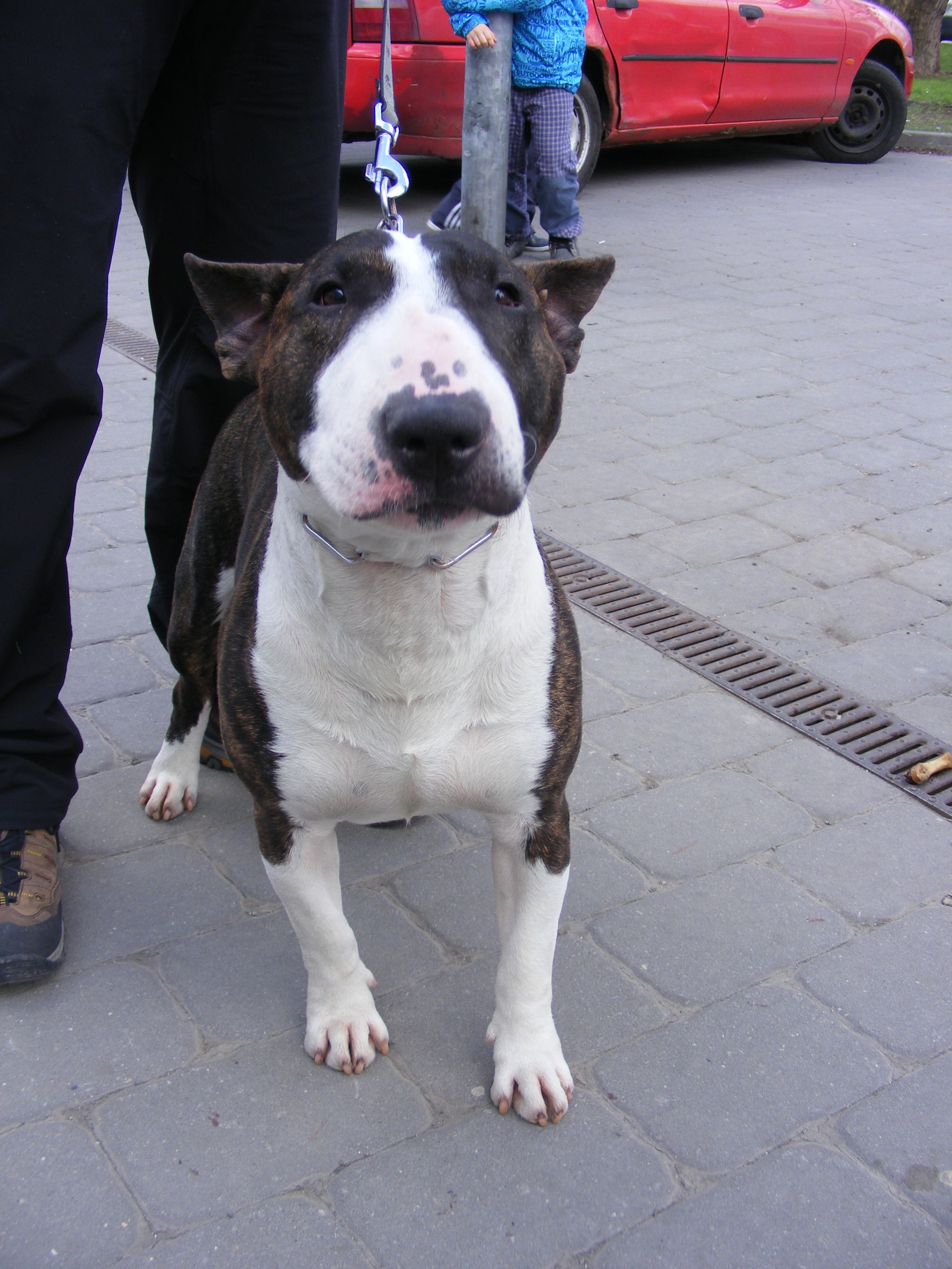 Benny 9.4.2011 výstava Olomouc 004