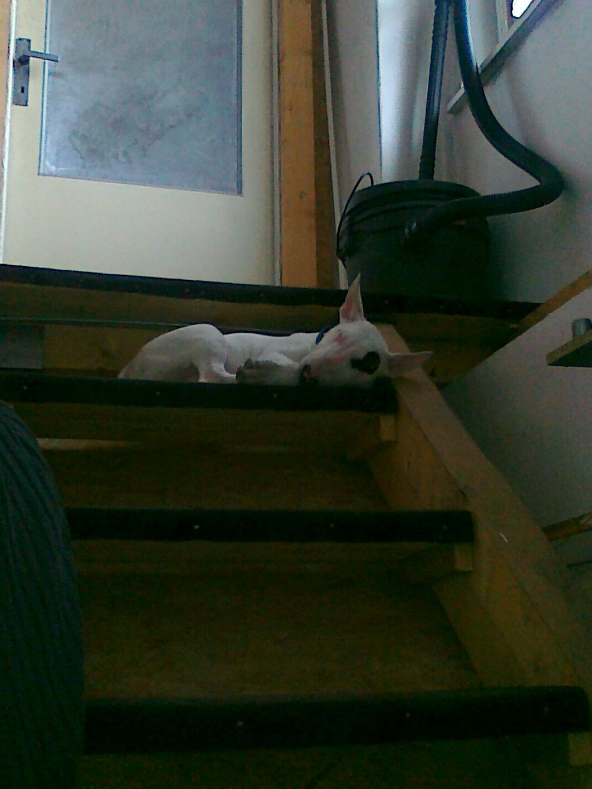 na schodech