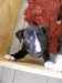 Benny,Bria,Birr 15.10 002.jpg