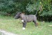 DSC_0066.jpg