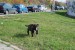 DSC_0063.jpg