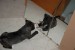 DSC_0055.jpg