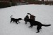 DSC_00260001.jpg