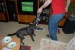 DSC_00490001.jpg