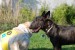 DSC_0014.JPG