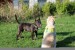 DSC_0009.jpg